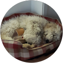 Charlys Doodle Channel